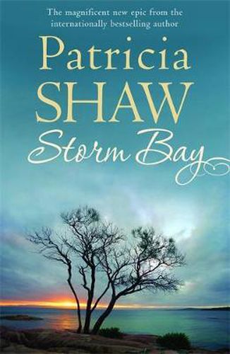 Cover image for Storm Bay