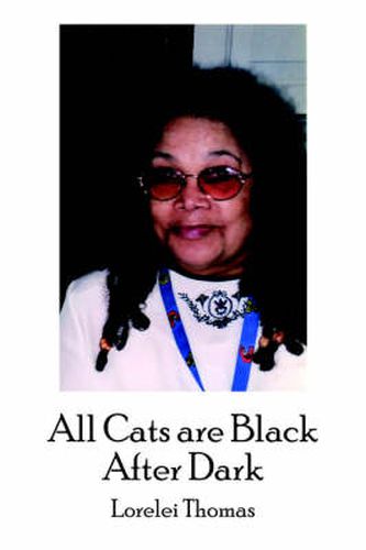 Cover image for All Cats are Black After Dark
