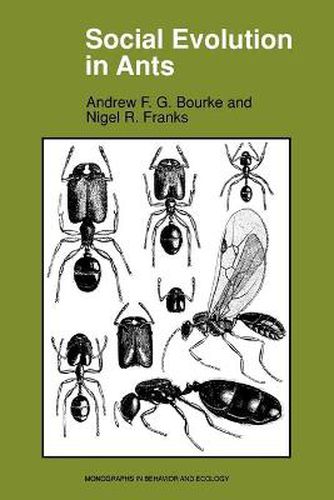 Cover image for Social Evolution in Ants