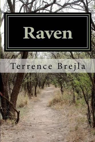 Cover image for Raven