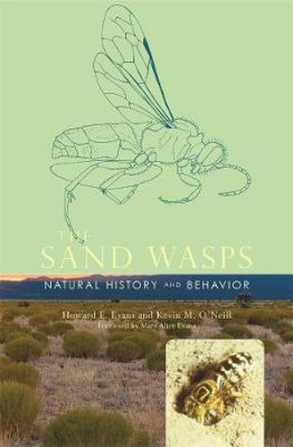 Cover image for The Sand Wasps: Natural History and Behavior