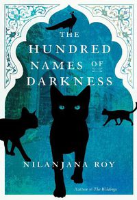 Cover image for The Hundred Names of Darkness