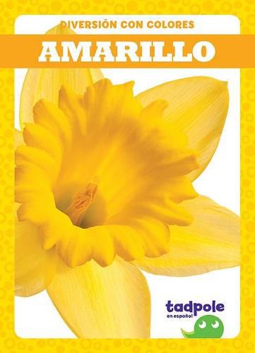 Amarillo (Yellow)