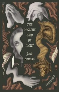 Cover image for The Obscene Bird of Night