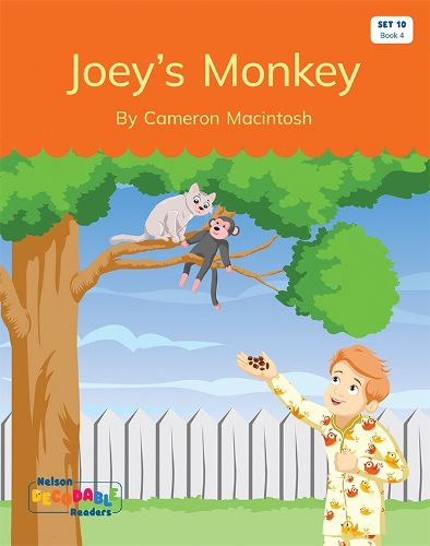 Joey's Monkey (Set 10, Book 4)