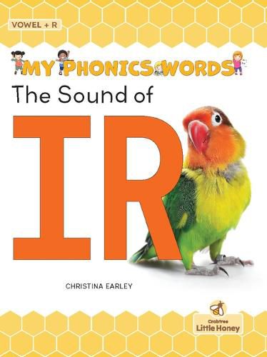 Cover image for The Sound of IR