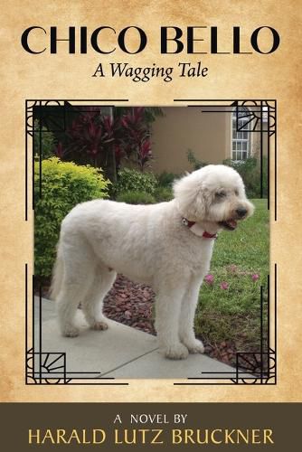 Cover image for Chico Bello