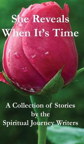 Cover image for She Reveals When It's Time: A Collection of Stories by The Spiritual Journey Writers