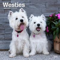 Cover image for West Highland White Terriers 2024 Square