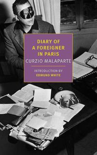 Cover image for Diary of a Foreigner in Paris