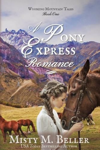 Cover image for A Pony Express Romance