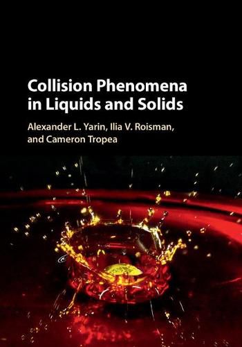 Cover image for Collision Phenomena in Liquids and Solids