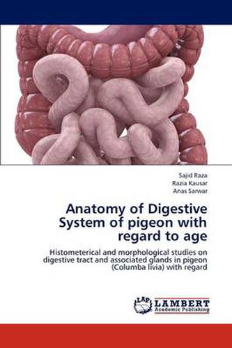 Cover image for Anatomy of Digestive System of pigeon with regard to age