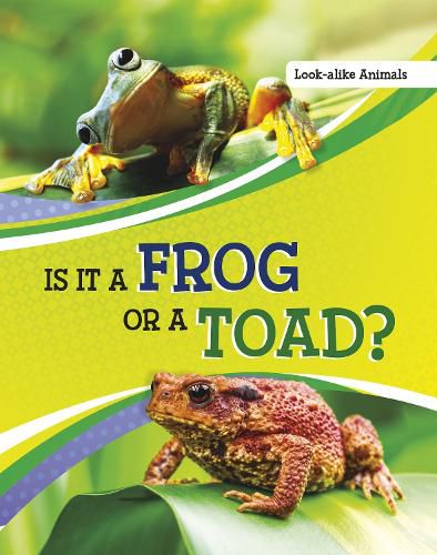 Is It a Frog or a Toad?