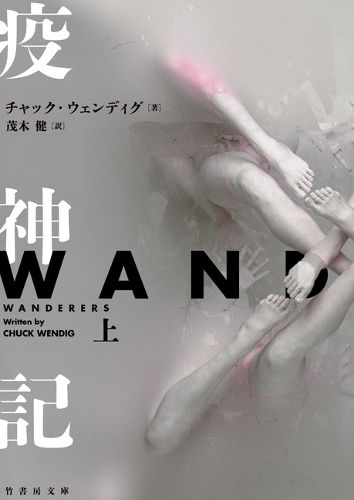 Cover image for Wanderers