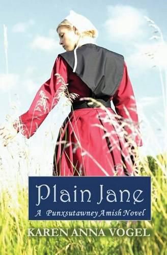 Cover image for Plain Jane: A Punxsutawney Amish Novel (Bronte Inspired)