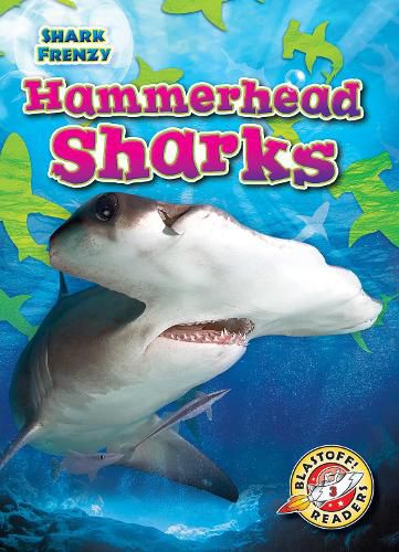 Hammerhead Sharks