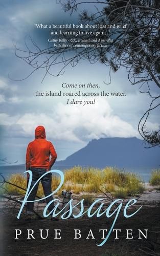 Cover image for Passage