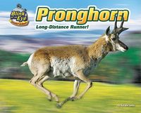 Cover image for Pronghorn: Long-Distance Runner!