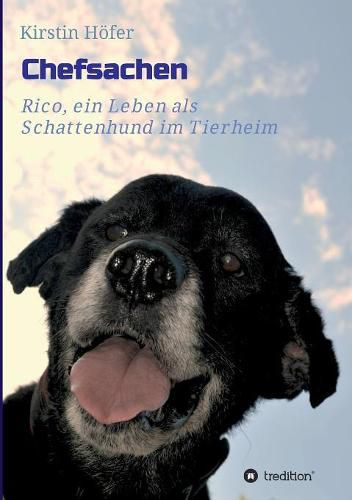 Cover image for Chefsachen: Rico - ein Leben als Schattenhund im Tierheim