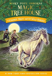 Cover image for Windy Night with Wild Horses