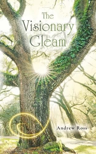 Cover image for The Visionary Gleam