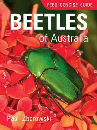 Cover image for Reed Concise Guide: Beetles of Australia