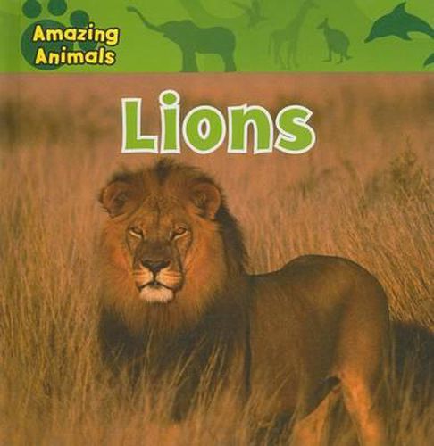 Cover image for Lions