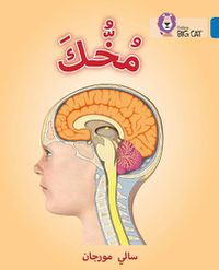 Cover image for Your Brain: Level 16