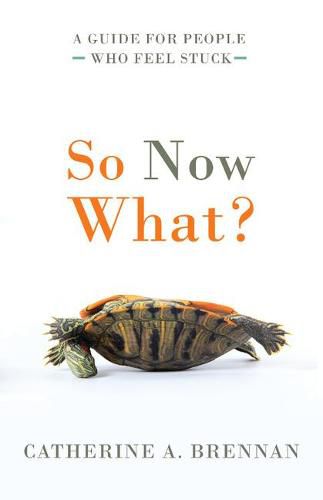 Cover image for So Now What?: A Guide for People Who Feel Stuck