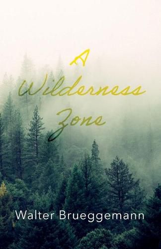 Cover image for A Wilderness Zone