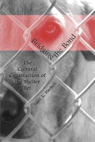 Cover image for Bridging the Bond: The Cultural Construction of the Shelter Pet