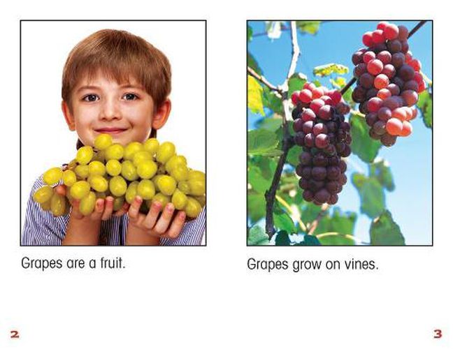 All about Grapes