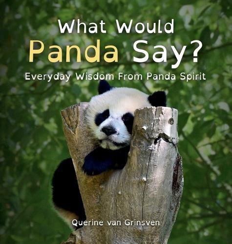 Cover image for What Would Panda Say?