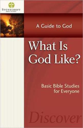 Cover image for What Is God Like?