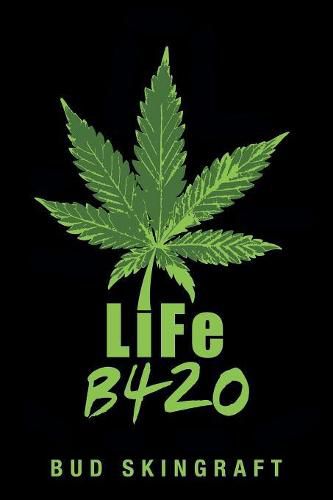 Cover image for LiFe B420