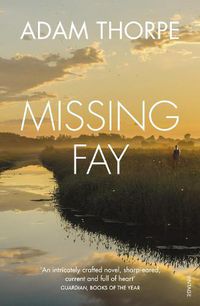 Cover image for Missing Fay