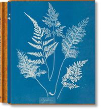Cover image for Anna Atkins. Cyanotypes