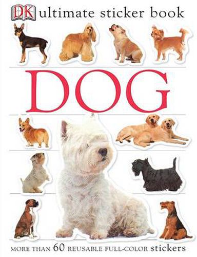 Cover image for Ultimate Sticker Book: Dog: More Than 60 Reusable Full-Color Stickers