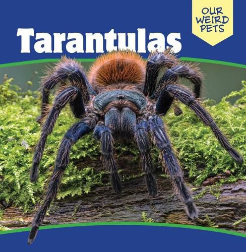 Cover image for Tarantulas