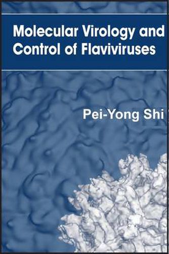Cover image for Molecular Virology and Control of Flaviviruses