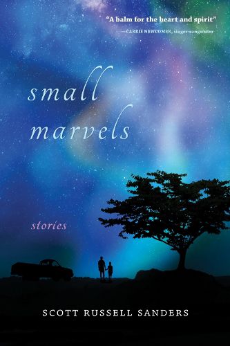 Cover image for Small Marvels: Stories