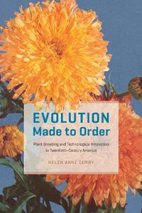 Cover image for Evolution Made to Order: Plant Breeding and Technological Innovation in Twentieth-Century America