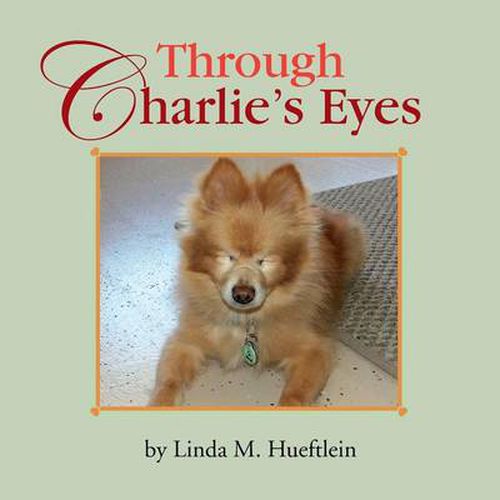 Cover image for Through Charlie's Eyes