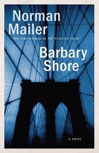 Cover image for Barbary Shore: A Novel