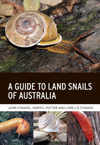 Cover image for A Guide to Land Snails of Australia