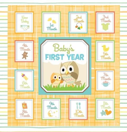 Cover image for Baby's First Year