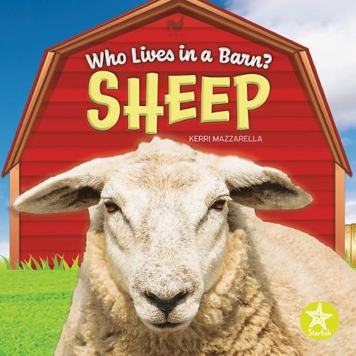 Cover image for Sheep