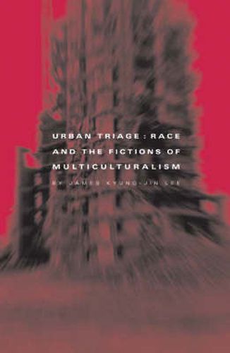 Cover image for Urban Triage: Race And The Fictions Of Multiculturalism