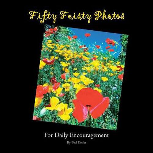 Cover image for Fifty Feisty Photos: For Daily Encouragement